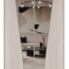 Шкаф-купе 1500 серии SILVER S1+S1+B2+PL2 (2 ящика+1 штанга+1 полка) профиль «Серебро» в Лесном - lesnoy.mebel24.online | фото 12
