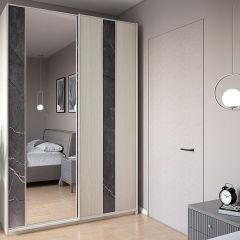Шкаф-купе 1500 серии SILVER S3+S4+B2+PL4 (2 ящика+F обр.штанга) профиль «Серебро» в Лесном - lesnoy.mebel24.online | фото