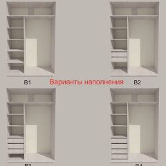 Шкаф-купе 1500 серии SILVER S3+S4+B2+PL4 (2 ящика+F обр.штанга) профиль «Серебро» в Лесном - lesnoy.mebel24.online | фото 5