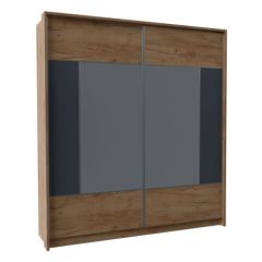 Шкаф-купе 1600 с плитой 22 мм ЛИБЕРТИ в Лесном - lesnoy.mebel24.online | фото