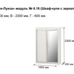 Шкаф-купе 1600 с зеркалом "Мария-Луиза 6.16" в Лесном - lesnoy.mebel24.online | фото 4