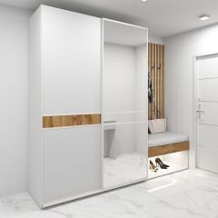 Шкаф-купе 1600 серии SOFT D6+D4+B2+PL2 (2 ящика+1штанга+1 полка) профиль «Капучино» в Лесном - lesnoy.mebel24.online | фото 5