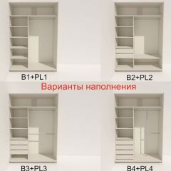 Шкаф-купе 1600 серии SOFT D6+D4+B2+PL2 (2 ящика+1штанга+1 полка) профиль «Капучино» в Лесном - lesnoy.mebel24.online | фото 7