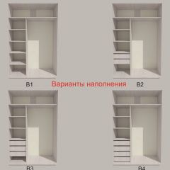 Шкаф-купе 1700 серии SILVER S4+S3Z+B2+PL1 (2 ящика+1 штанга) профиль «Серебро» в Лесном - lesnoy.mebel24.online | фото 5