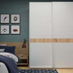 Шкаф-купе 1800 серии SOFT D6+D6+B2+PL3 (2 ящика+2штанги) профиль «Капучино» в Лесном - lesnoy.mebel24.online | фото
