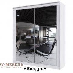 Шкаф-купе №19 Серия 3 Квадро (2000) Ясень Анкор светлый в Лесном - lesnoy.mebel24.online | фото