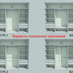 Шкаф-купе 1950 серии SILVER S3+S1+S3Z B22+PL2 (по 2 ящика лев/прав+1штанга+1 полка) профиль «Серебро» в Лесном - lesnoy.mebel24.online | фото 6