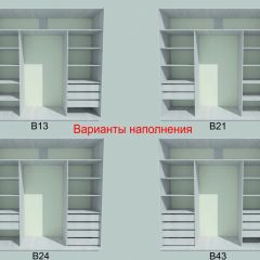 Шкаф-купе 1950 серии SILVER S3+S1+S4 B22+PL3 (по 2 ящика лев/прав+2 штанги) профиль «Серебро» в Лесном - lesnoy.mebel24.online | фото 5