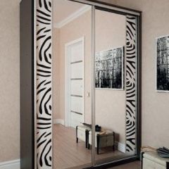 Шкаф-купе "Премиум" 2-х дверный №16 (1800) в Лесном - lesnoy.mebel24.online | фото