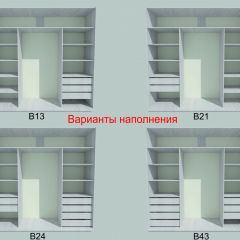 Шкаф-купе 2250 серии SILVER S3+S1+S4 B22+PL3 (по 2 ящика лев/прав+2 штанги) профиль «Серебро» в Лесном - lesnoy.mebel24.online | фото 5