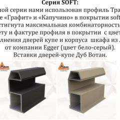 Шкаф-купе 2400 серии SOFT D2+D7+D3+B22+PL2 (по 2 ящика лев/прав+1штанга+1полка) профиль «Графит» в Лесном - lesnoy.mebel24.online | фото 12