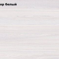 АЛЬЯНС 18 Шкаф-купе + комплект зеркал №4 в Лесном - lesnoy.mebel24.online | фото 4