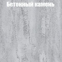 Шкаф-купе Бассо 1.0 (Дуб Крафт серый/Бетонный камень) 2 двери ЛДСП 1 зеркальная вставка в Лесном - lesnoy.mebel24.online | фото 3