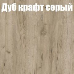 Шкаф-купе Бассо 1.0 (Дуб Крафт серый/Бетонный камень) 2 двери ЛДСП 1 зеркальная вставка в Лесном - lesnoy.mebel24.online | фото 4