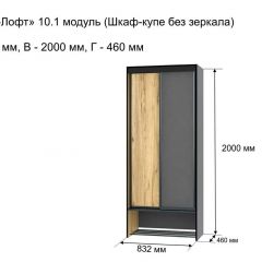 ОЛЬГА-ЛОФТ 10.1 Шкаф-купе без зеркала в Лесном - lesnoy.mebel24.online | фото 3