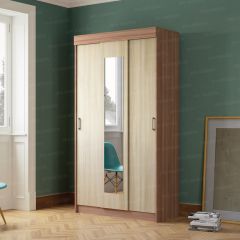Шкаф-купе Эко (ЭРА) в Лесном - lesnoy.mebel24.online | фото 2