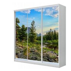 Шкаф-купе ХИТ 22-18-777 (620) в Лесном - lesnoy.mebel24.online | фото