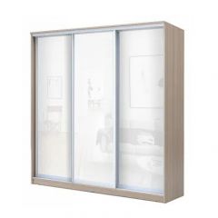Шкаф-купе ХИТ 22-20-888 (620) в Лесном - lesnoy.mebel24.online | фото 7