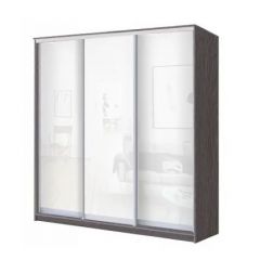 Шкаф-купе ХИТ 23-18/2-888 (620) в Лесном - lesnoy.mebel24.online | фото 1