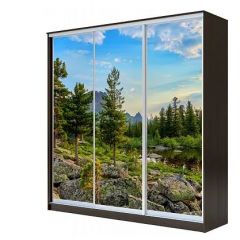 Шкаф-купе ХИТ 23-4-18-777 (420) в Лесном - lesnoy.mebel24.online | фото 1