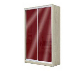 Шкаф-купе ХИТ 24-4-14-22 (420) в Лесном - lesnoy.mebel24.online | фото 8