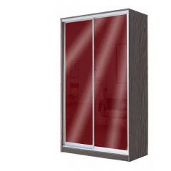 Шкаф-купе ХИТ 24-4-17-22 (420) в Лесном - lesnoy.mebel24.online | фото 11