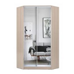 Шкаф-купе ХИТ-У-L-22-64-55 в Лесном - lesnoy.mebel24.online | фото 8