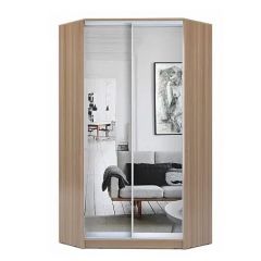 Шкаф-купе ХИТ-У-L-22-64-55 в Лесном - lesnoy.mebel24.online | фото 9