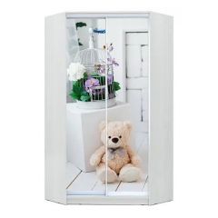 Шкаф-купе ХИТ-У-L-23-64-77 в Лесном - lesnoy.mebel24.online | фото