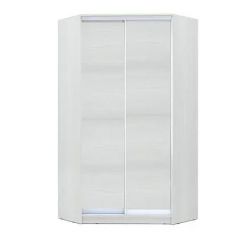 Шкаф-купе ХИТ-У-R-22-64-11 в Лесном - lesnoy.mebel24.online | фото 2