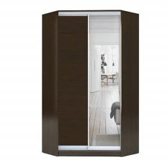 Шкаф-купе ХИТ-У-R-22-64-15 в Лесном - lesnoy.mebel24.online | фото