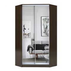 Шкаф-купе ХИТ-У-R-22-64-55 в Лесном - lesnoy.mebel24.online | фото