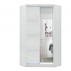 Шкаф-купе ХИТ-У-R-24-64-15 в Лесном - lesnoy.mebel24.online | фото