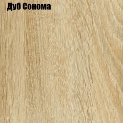 Шкаф-купе Лофт 1600 Шк16-60 (Дуб Сонома) в Лесном - lesnoy.mebel24.online | фото 4