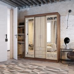 Шкаф-купе Лорд (ЭРА) в Лесном - lesnoy.mebel24.online | фото