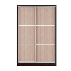 Шкаф-купе Рене 1500 вариант 7 (Тройной ЛДСП/Тройной ЛДСП) в Лесном - lesnoy.mebel24.online | фото