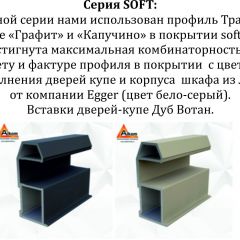 Шкаф-купе 1400 серии SOFT D1+D3+B2+PL1 (2 ящика+1штанга) профиль «Графит» в Лесном - lesnoy.mebel24.online | фото 5