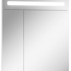 Шкаф-зеркало Аврора 65 с подсветкой LED Домино (DV8006HZ) в Лесном - lesnoy.mebel24.online | фото