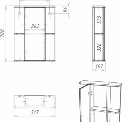 Шкаф-зеркало Норма 2-50 левый АЙСБЕРГ (DA1607HZ) в Лесном - lesnoy.mebel24.online | фото 10