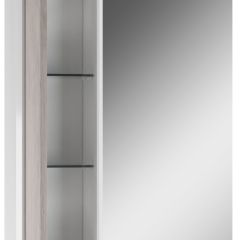 Шкаф-зеркало Uno 60 Дуб серый левый/правый Домино (DU1503HZ) в Лесном - lesnoy.mebel24.online | фото 3