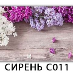 Стол раздвижной Трилогия с фотопечатью Орхидея C013 в Лесном - lesnoy.mebel24.online | фото 16