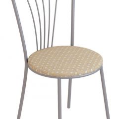 Стул Сириус См19 Ткань в Лесном - lesnoy.mebel24.online | фото