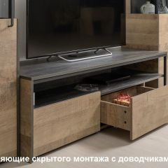 Трувор гостиная (модульная) в Лесном - lesnoy.mebel24.online | фото 19