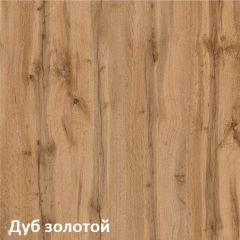 Вуди Стол письменный 12.42 в Лесном - lesnoy.mebel24.online | фото 3