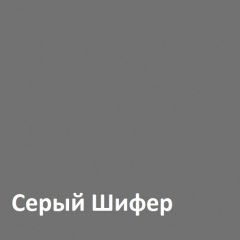 Юнона Шкаф торцевой 13.221 в Лесном - lesnoy.mebel24.online | фото 2