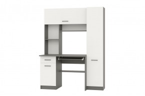АЛЬФА Стол рабочий (графит/белый) в Лесном - lesnoy.mebel24.online | фото 1