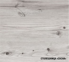 АСАЯ Кухонный гарнитур Экстра 2 (3000 мм) ПМ в Лесном - lesnoy.mebel24.online | фото 8
