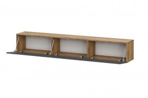 БАЙКАЛ Тумба (Графит/Дуб золотой) в Лесном - lesnoy.mebel24.online | фото 2