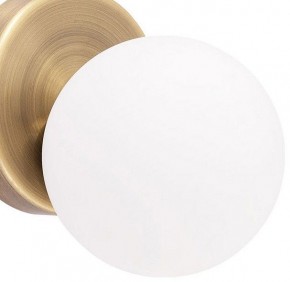 Бра Arte Lamp Bolla-piccolo A3989AP-1AB в Лесном - lesnoy.mebel24.online | фото