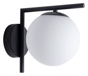 Бра Arte Lamp Bolla-Unica A1924AP-1BK в Лесном - lesnoy.mebel24.online | фото